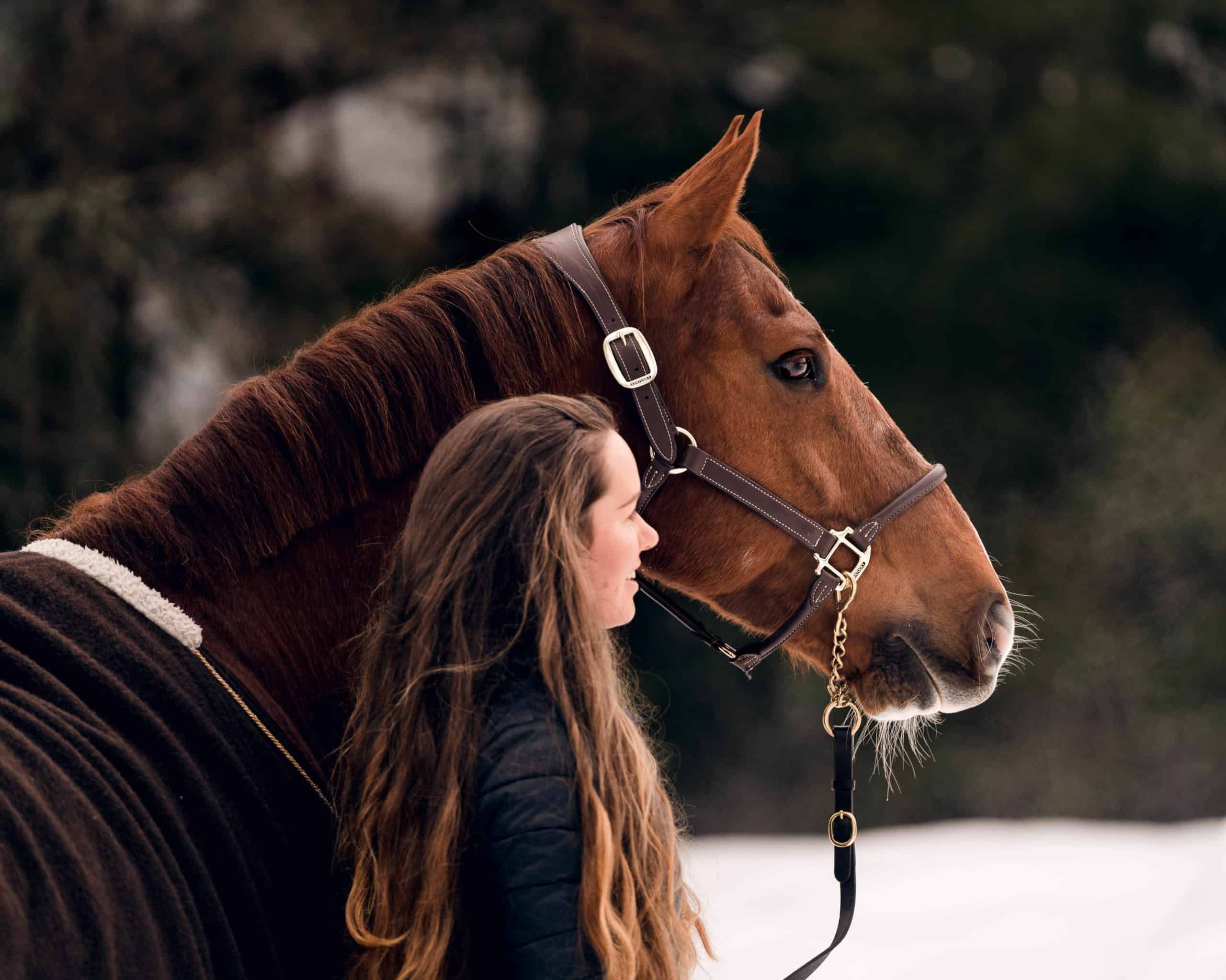 siste fotografering med hest