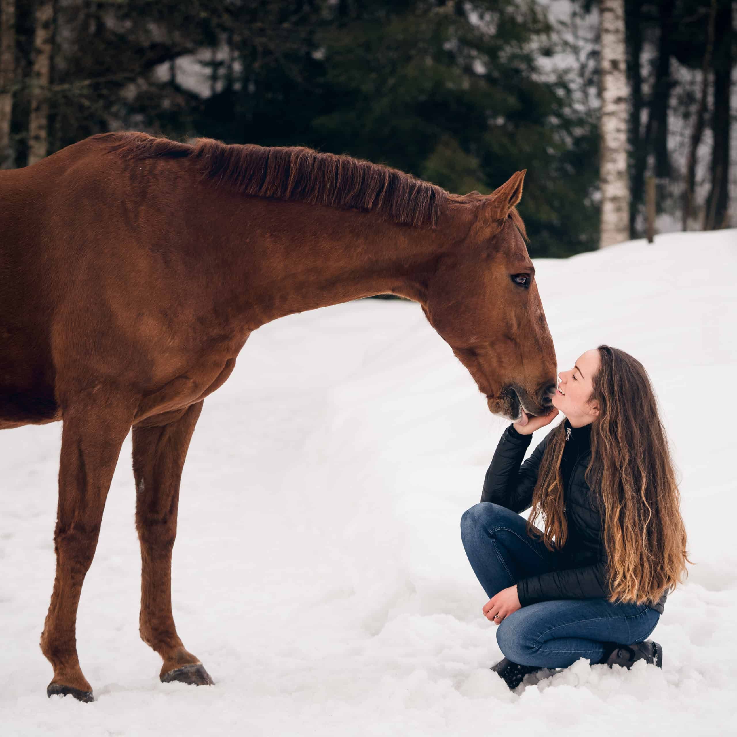 siste fotografering med hest