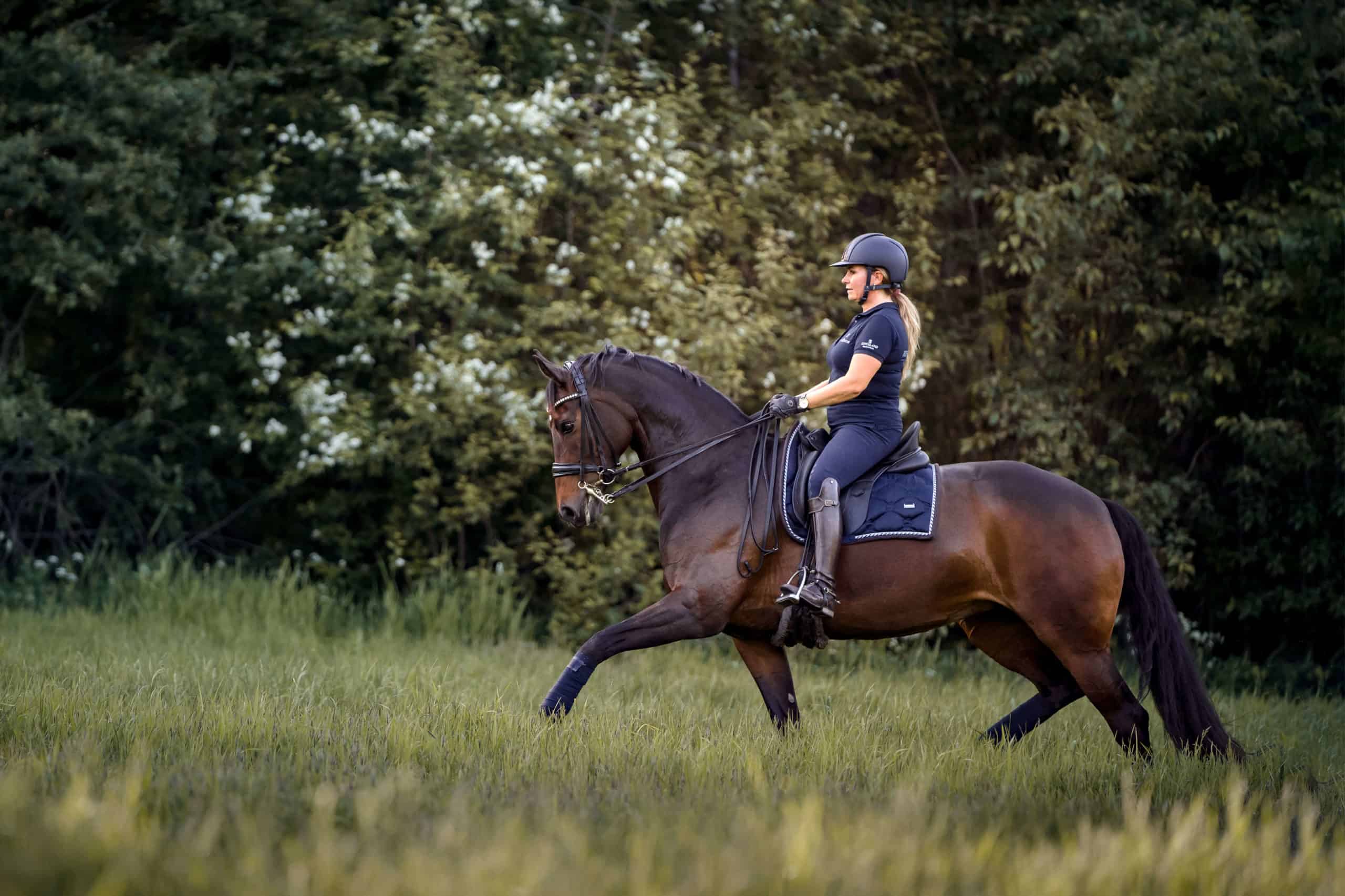 cecilie schilbred dressage