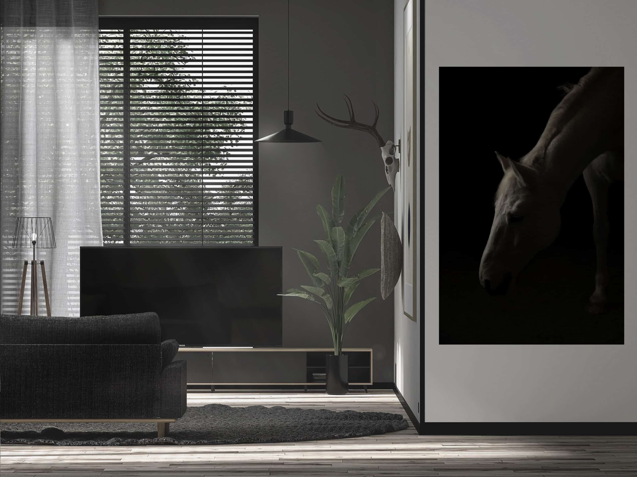 hestekunst på veggen