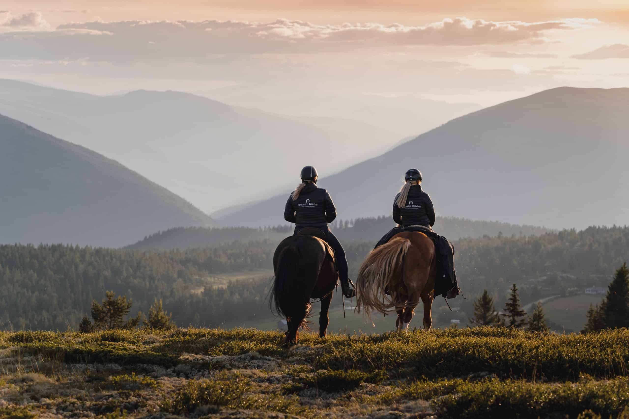 paardenfotografen retreat noorwegen