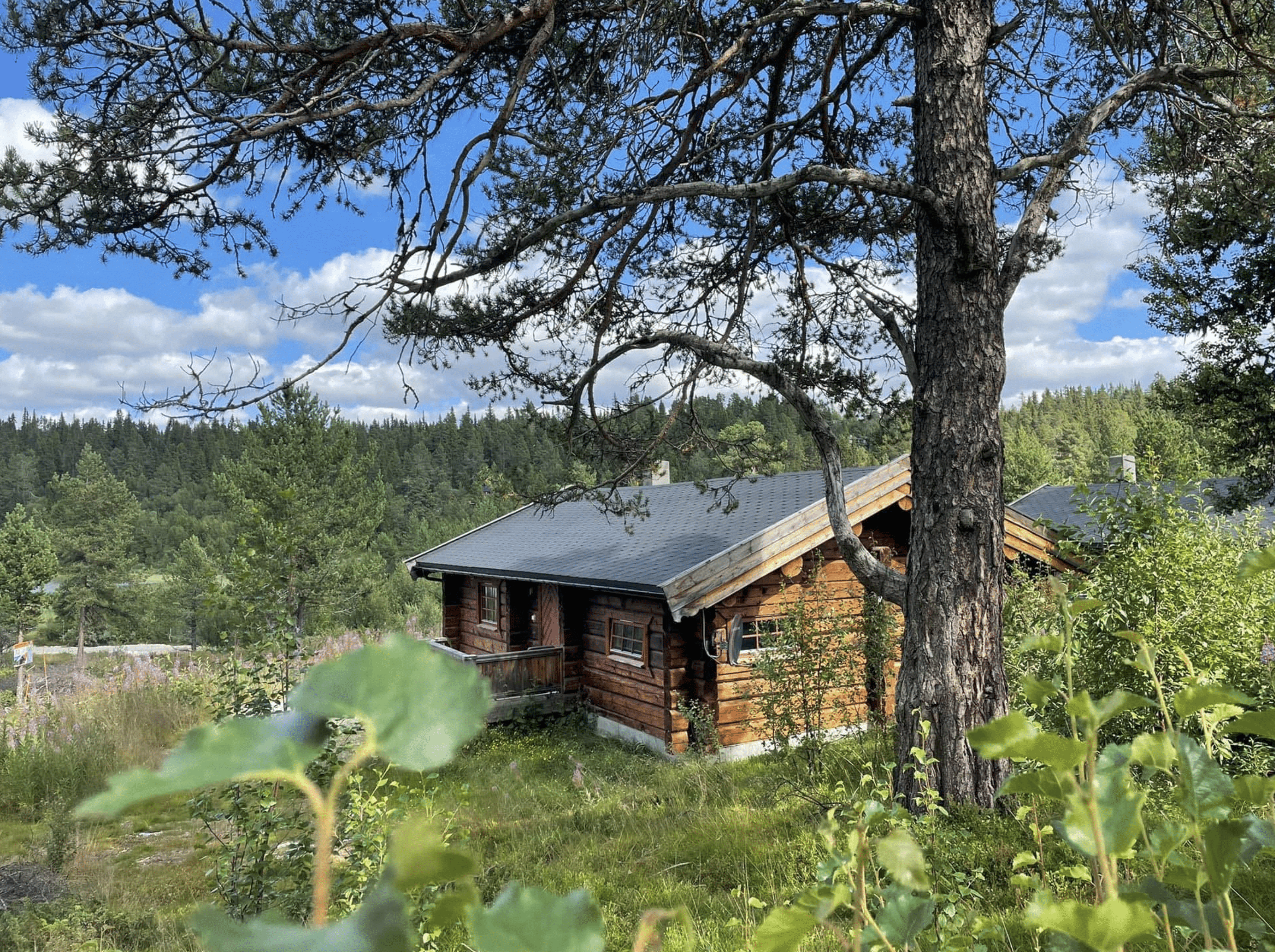 fotografen retreat noorwegen